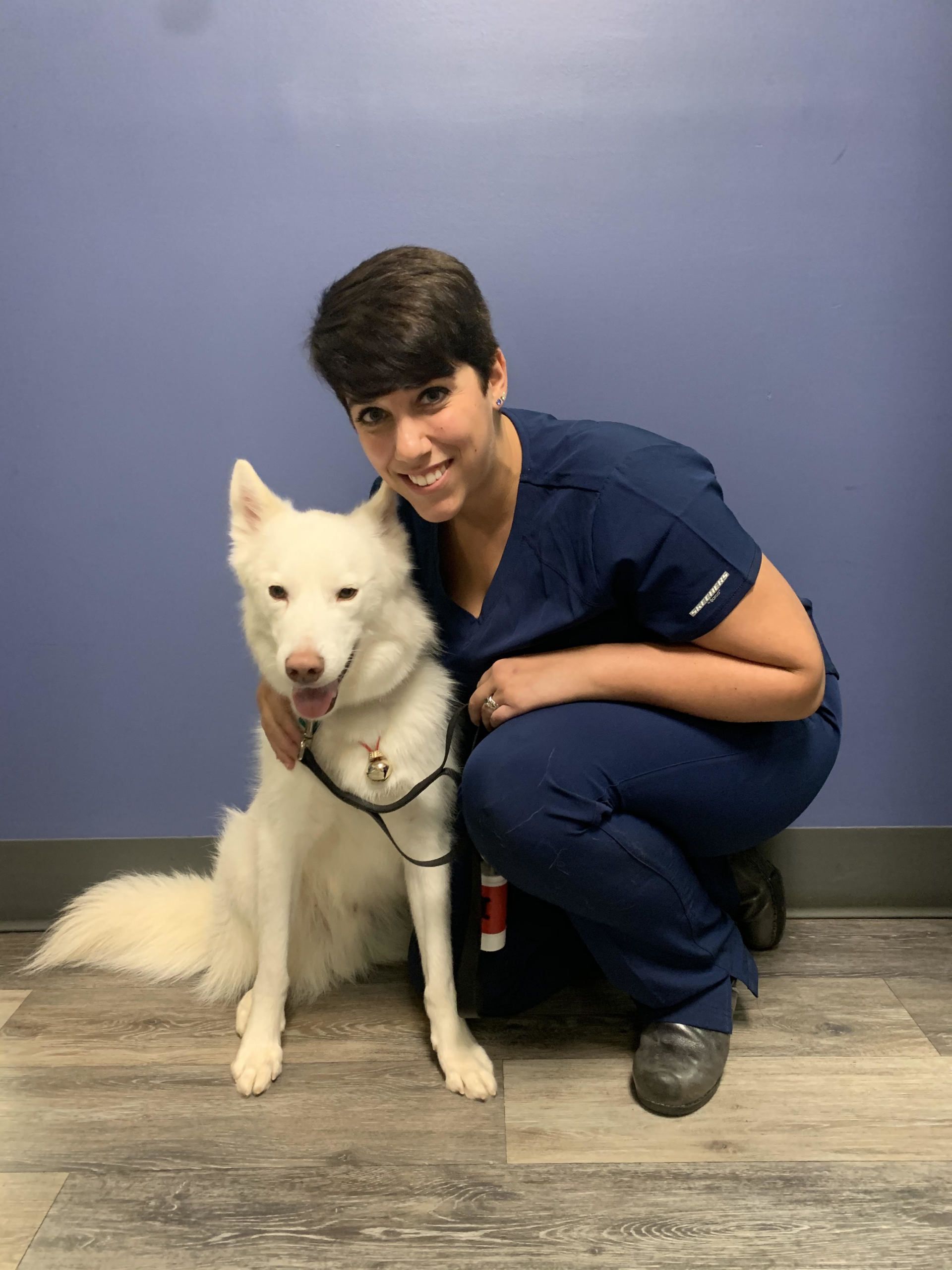 Photo Gallery Mebane Pet Clinic in Mebane, NC