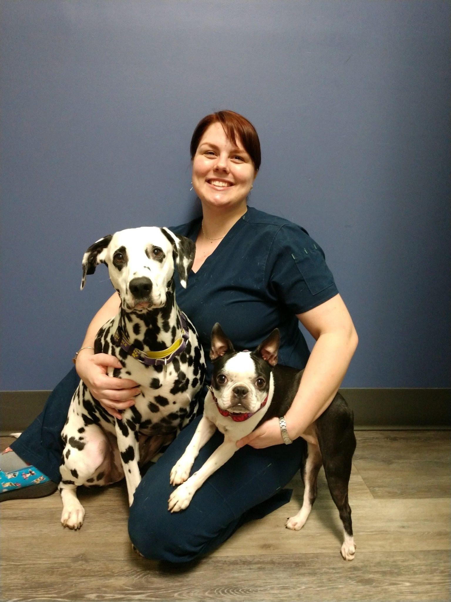 Photo Gallery Mebane Pet Clinic in Mebane, NC